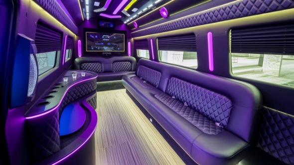 fremont sprinter limo rental interior